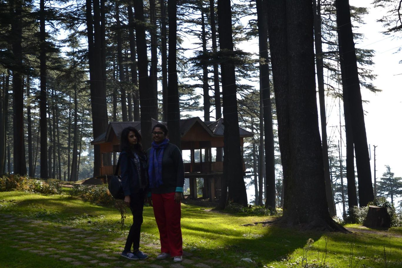 Photo of Trouper Travels By Asmita Sarkar