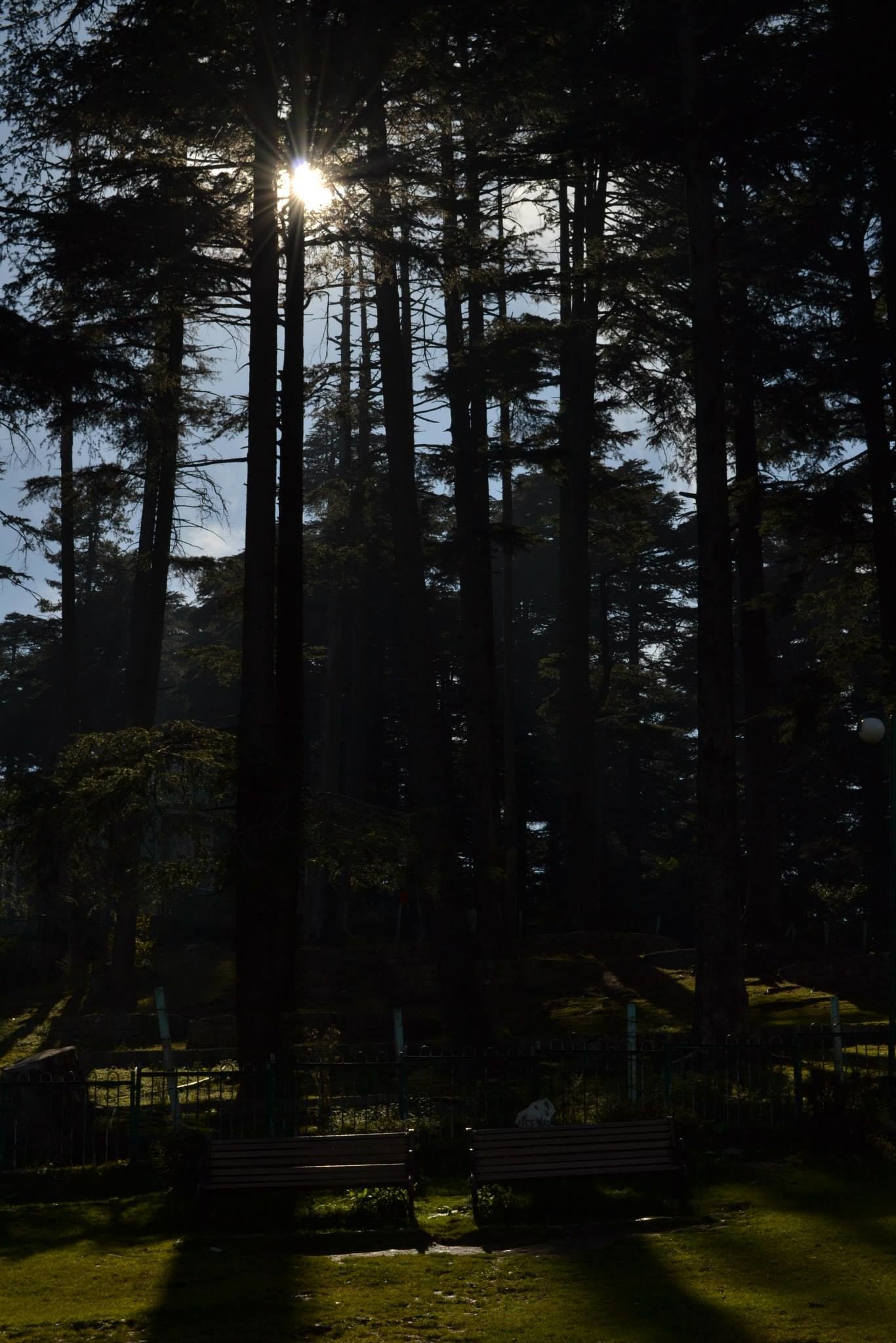 Photo of Trouper Travels By Asmita Sarkar