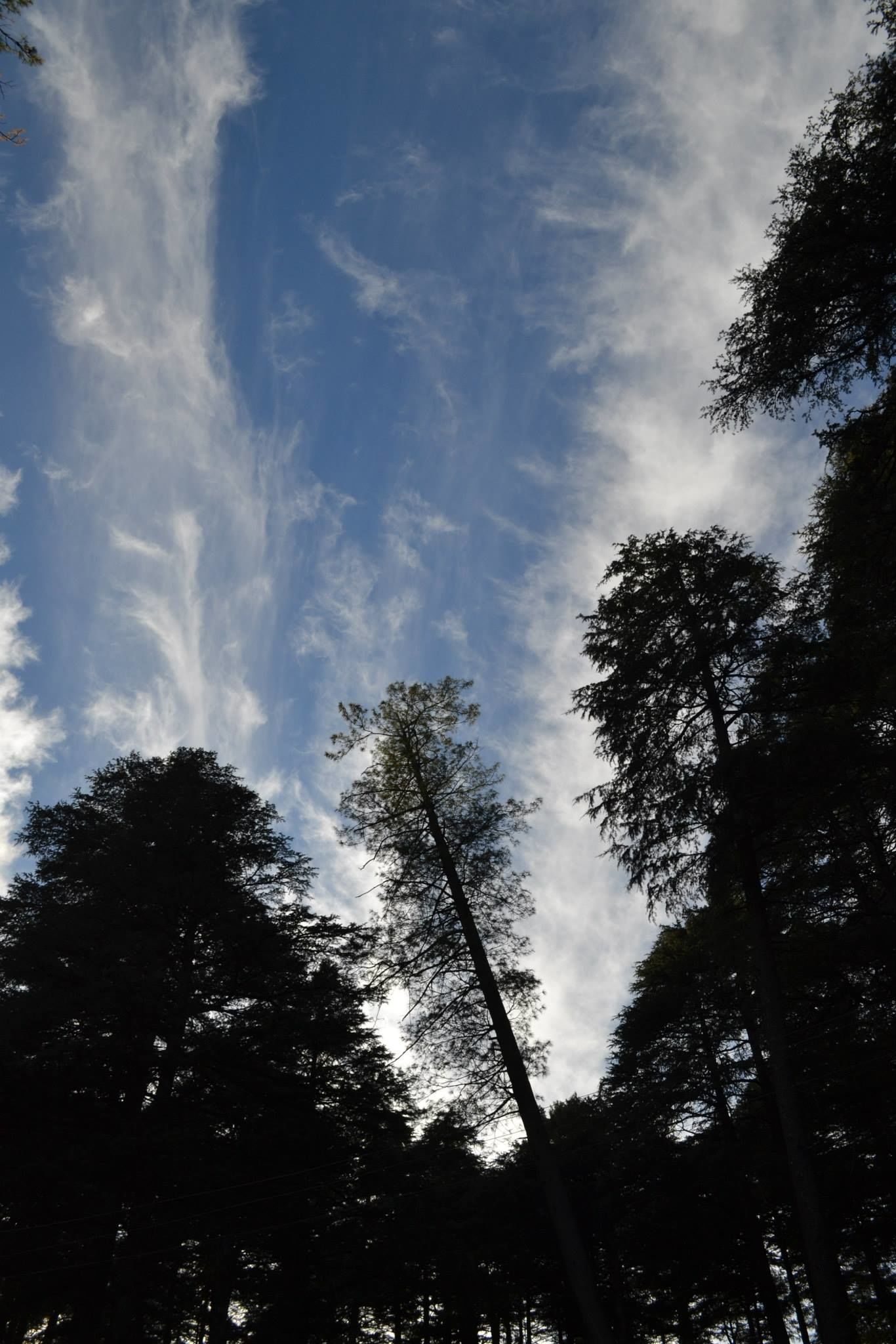 Photo of Trouper Travels By Asmita Sarkar