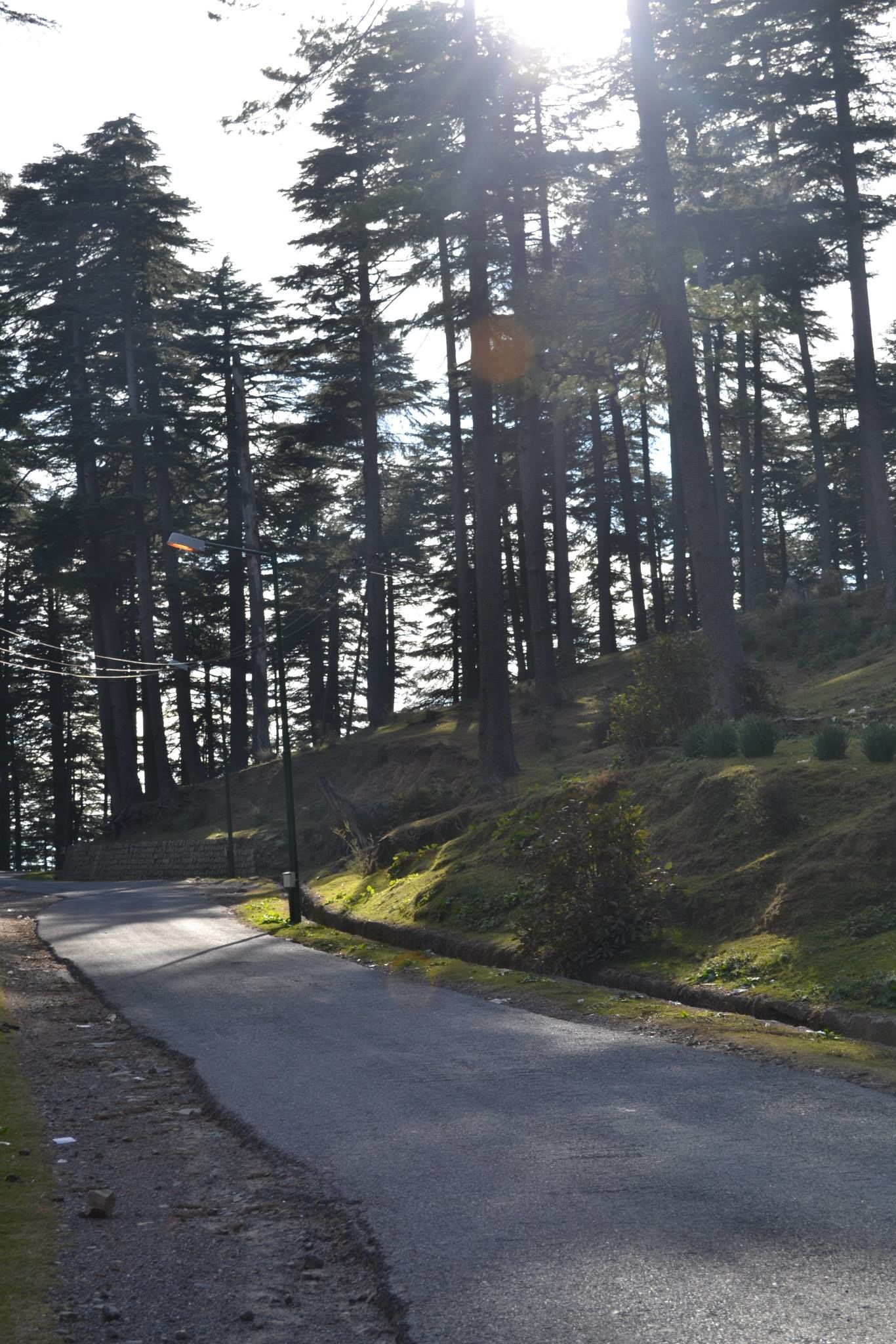 Photo of Trouper Travels By Asmita Sarkar