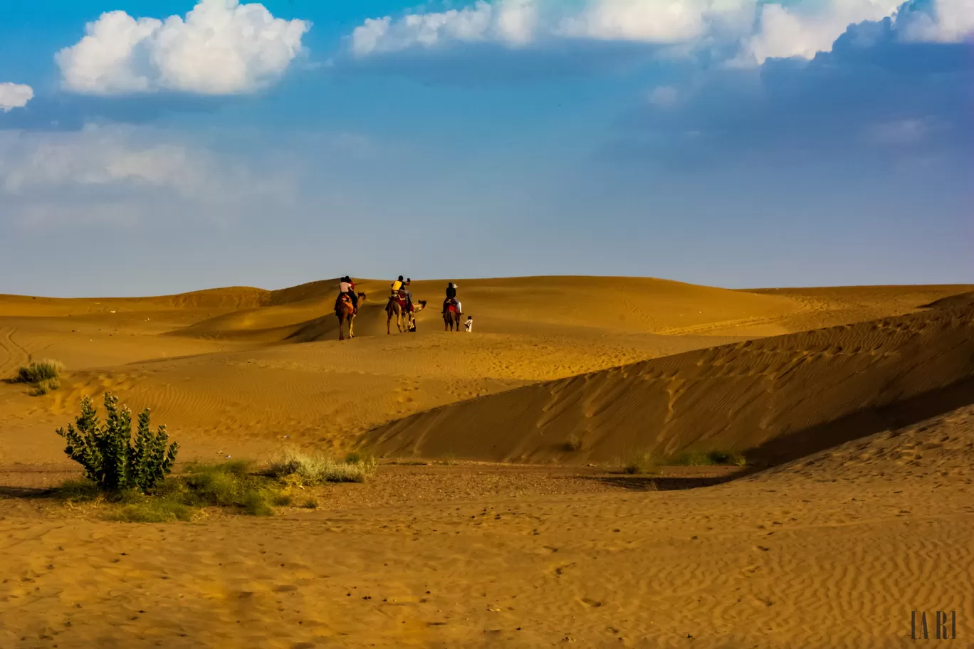 Photo of Sam Sand Dunes By Ankit Rastogi