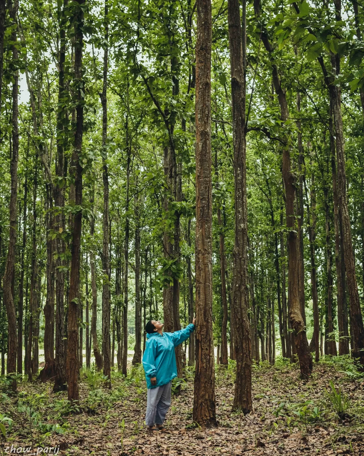 Photo of Thuamul Rampur By Chow Parij