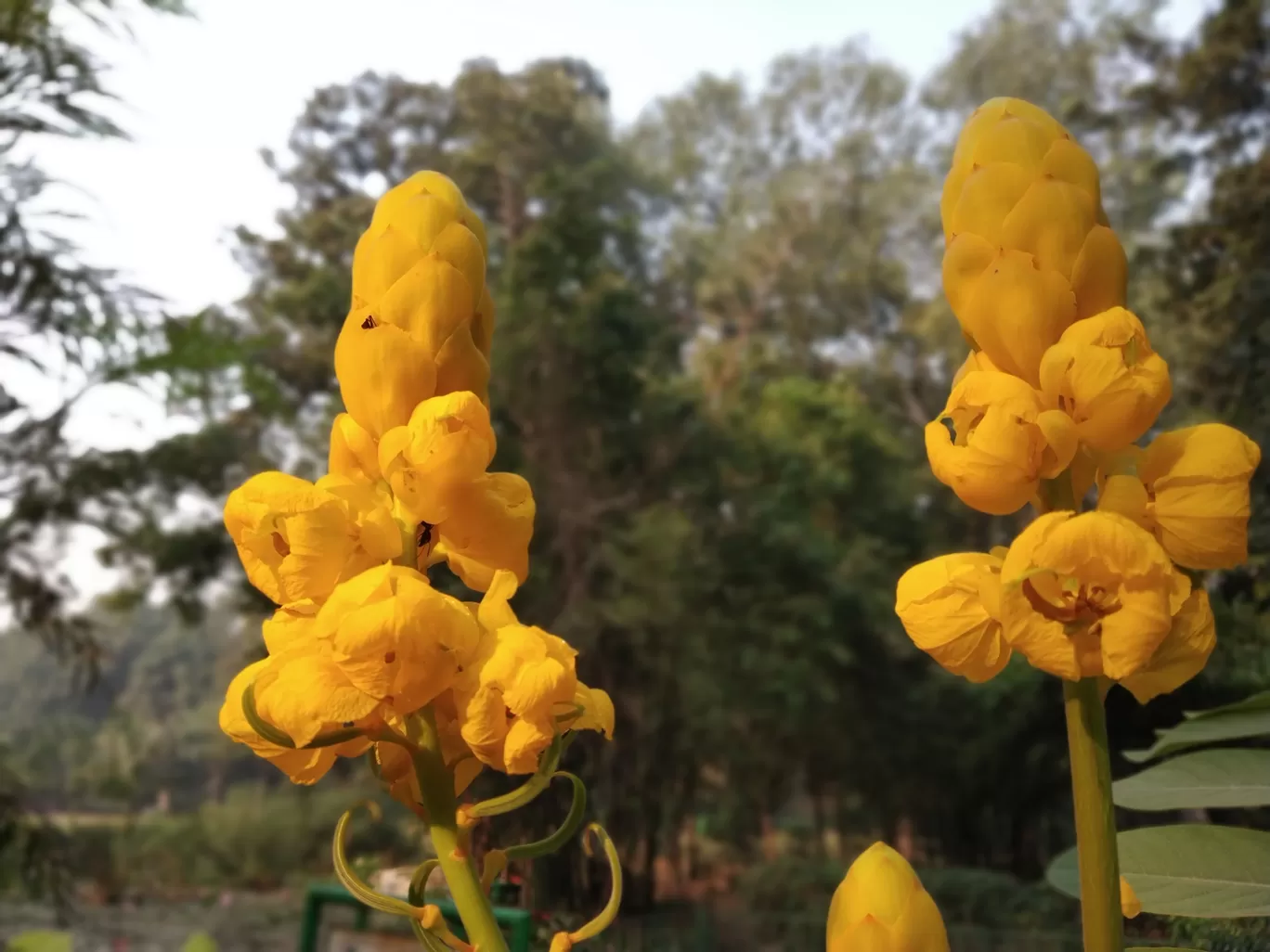 Photo of Lodhi Gardens By Anant Sharma