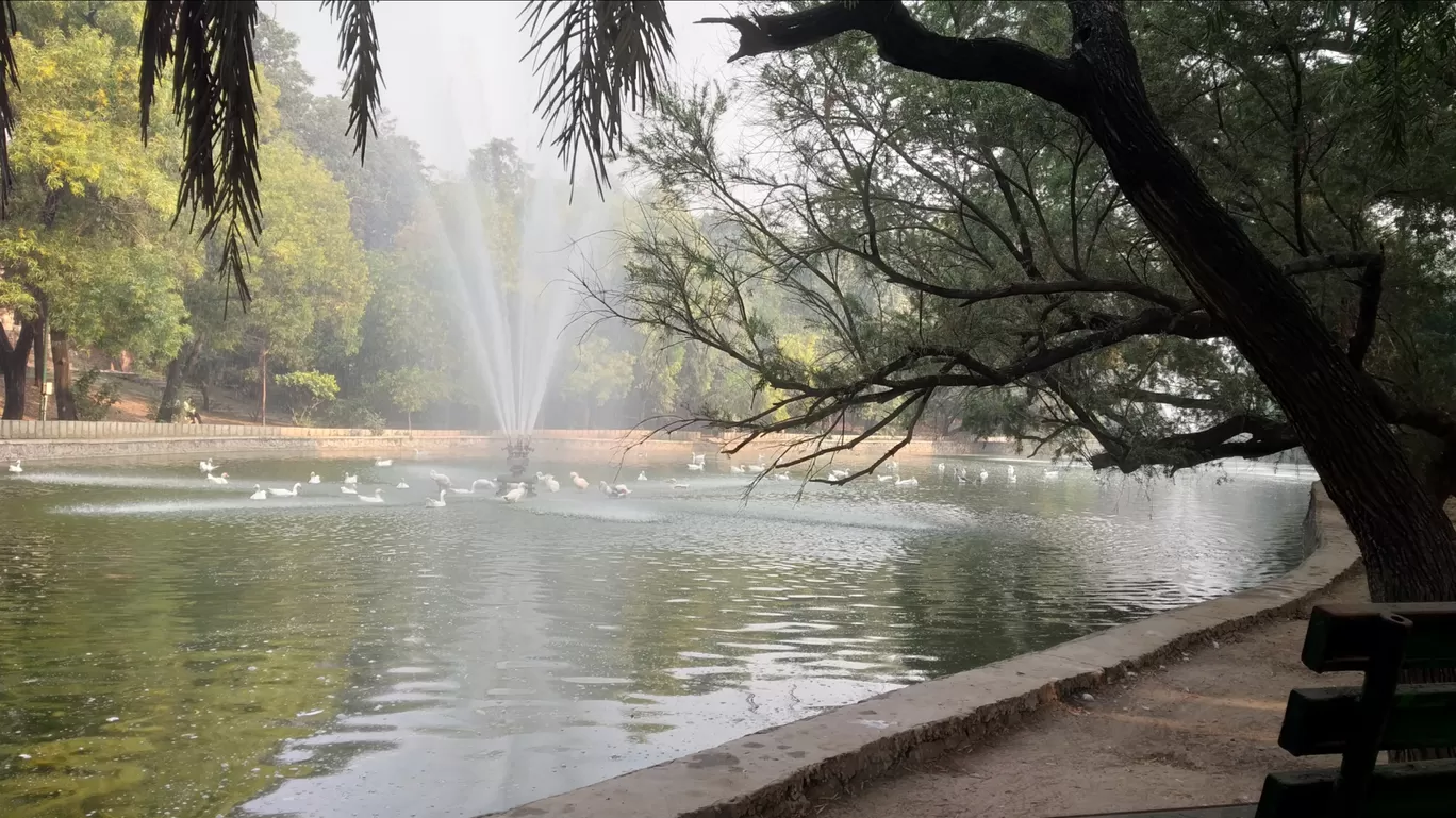 Photo of Lodhi Gardens By Anant Sharma