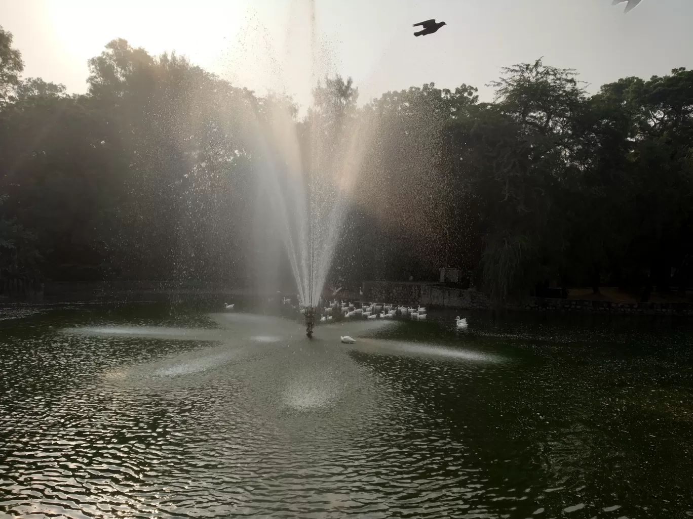 Photo of Lodhi Gardens By Anant Sharma