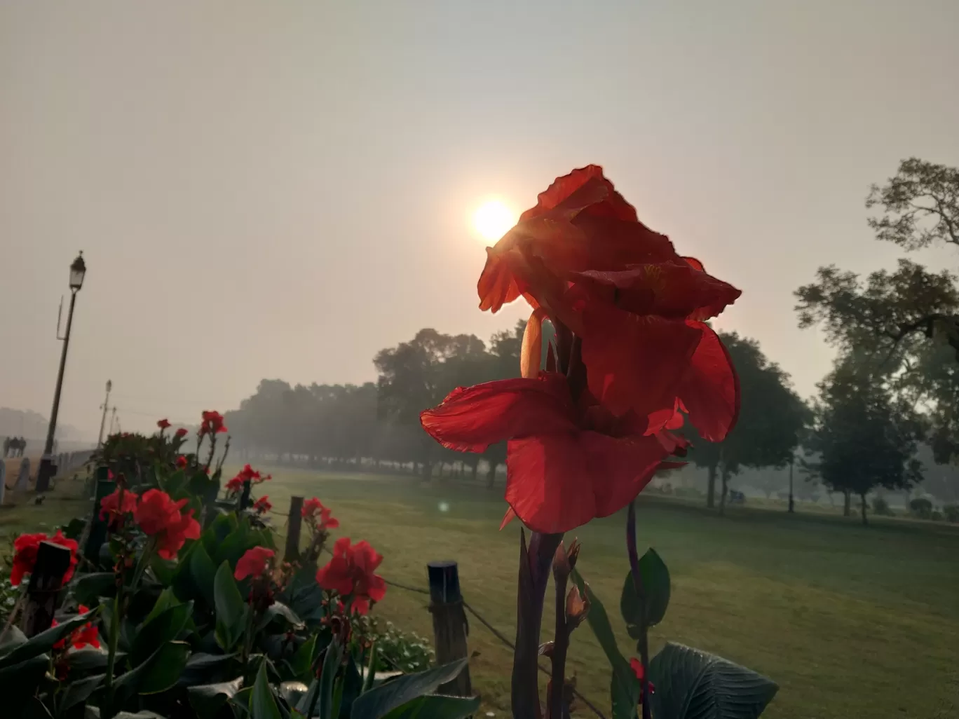 Photo of India Gate By Anant Sharma