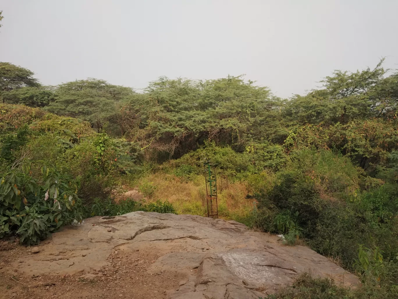 Photo of Sanjay Van By Anant Sharma