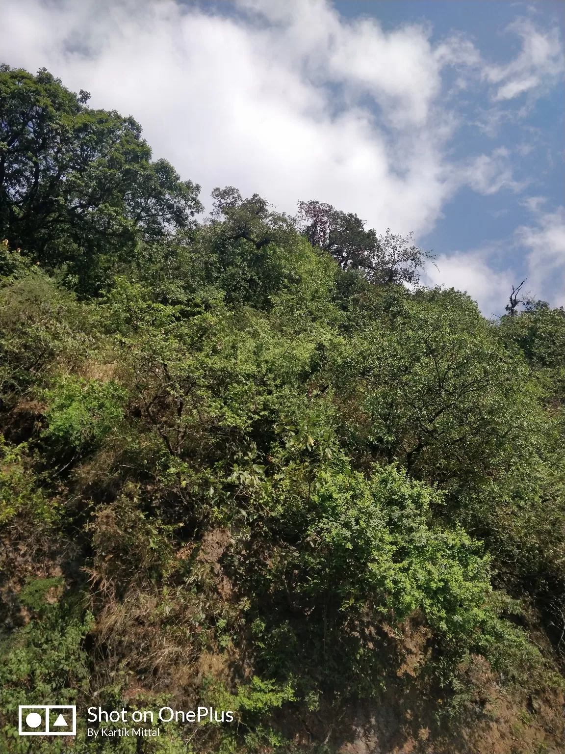 Photo of Mussoorie By Kartik Mittal