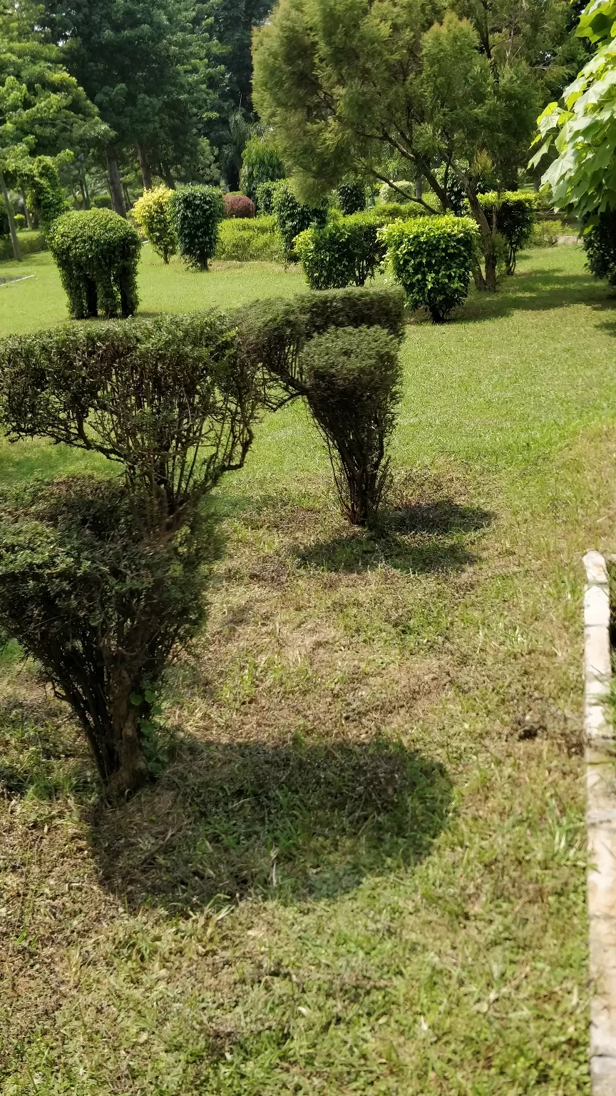 Photo of Talkatora Garden By Arjun singh