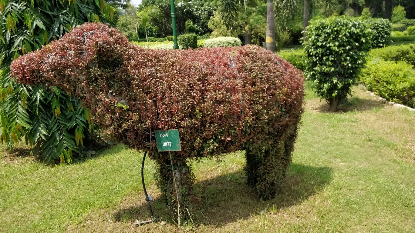 Photo of Talkatora Garden By Arjun singh