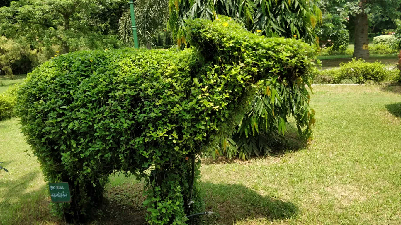 Photo of Talkatora Garden By Arjun singh