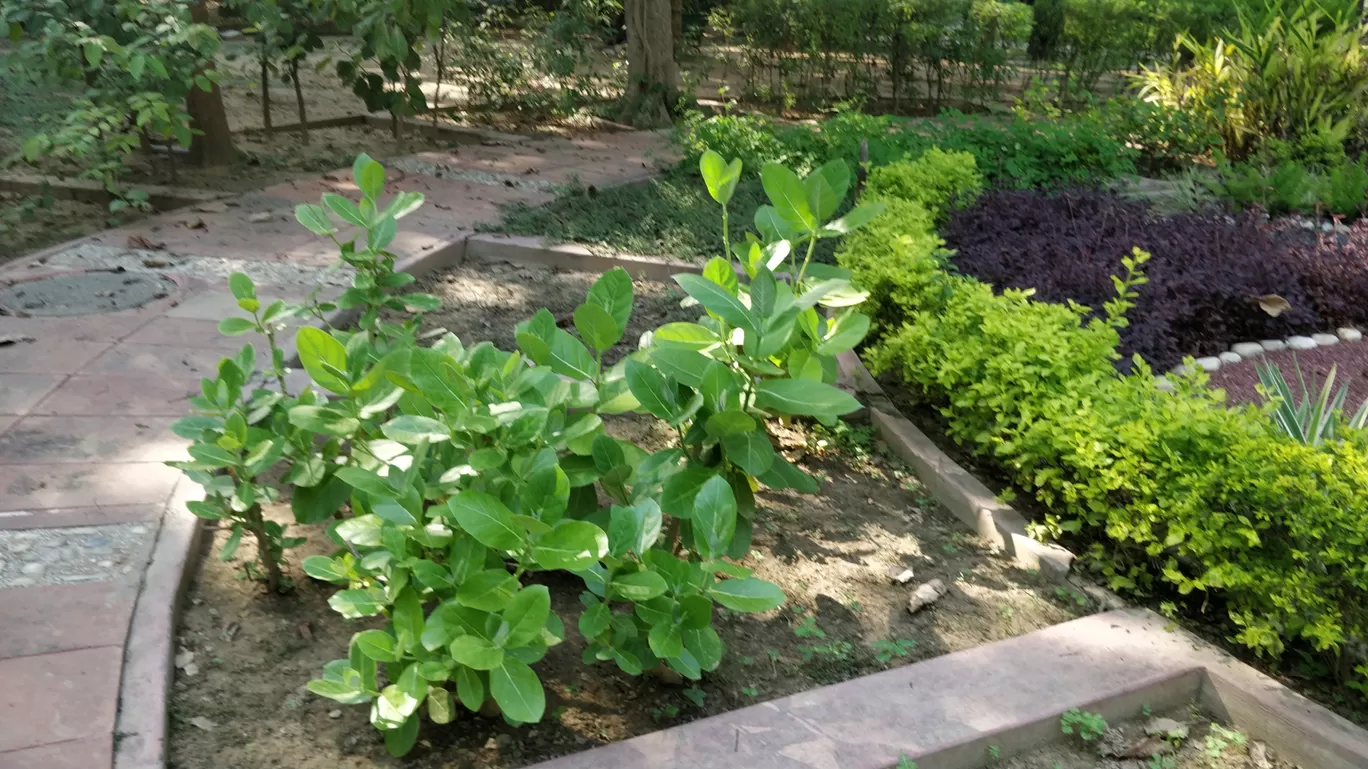 Photo of Talkatora Garden By Arjun singh