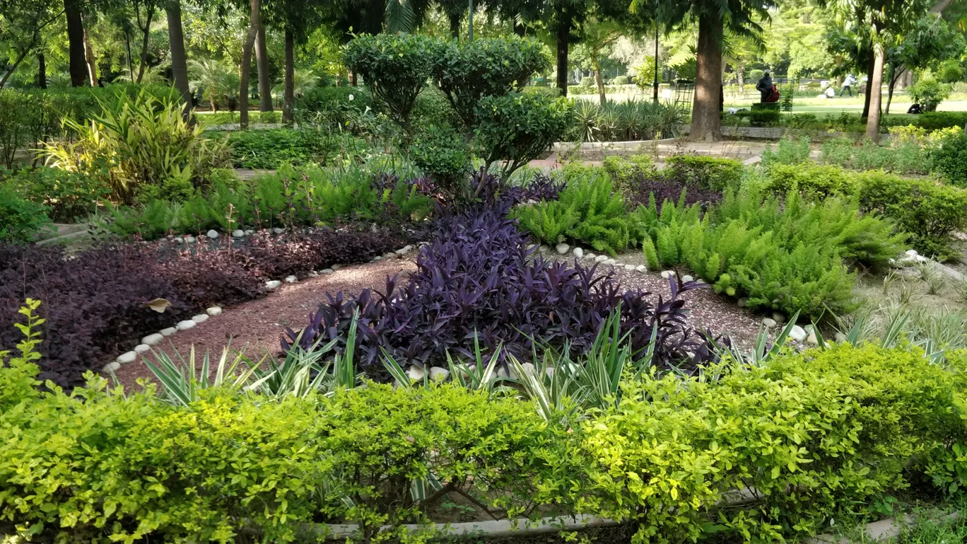 Photo of Talkatora Garden By Arjun singh