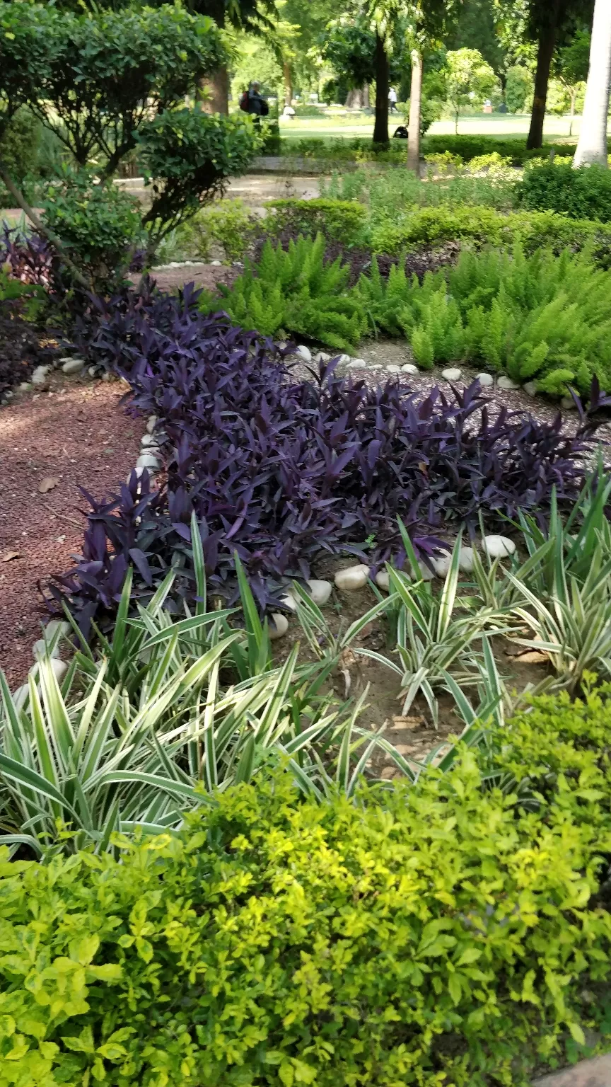 Photo of Talkatora Garden By Arjun singh