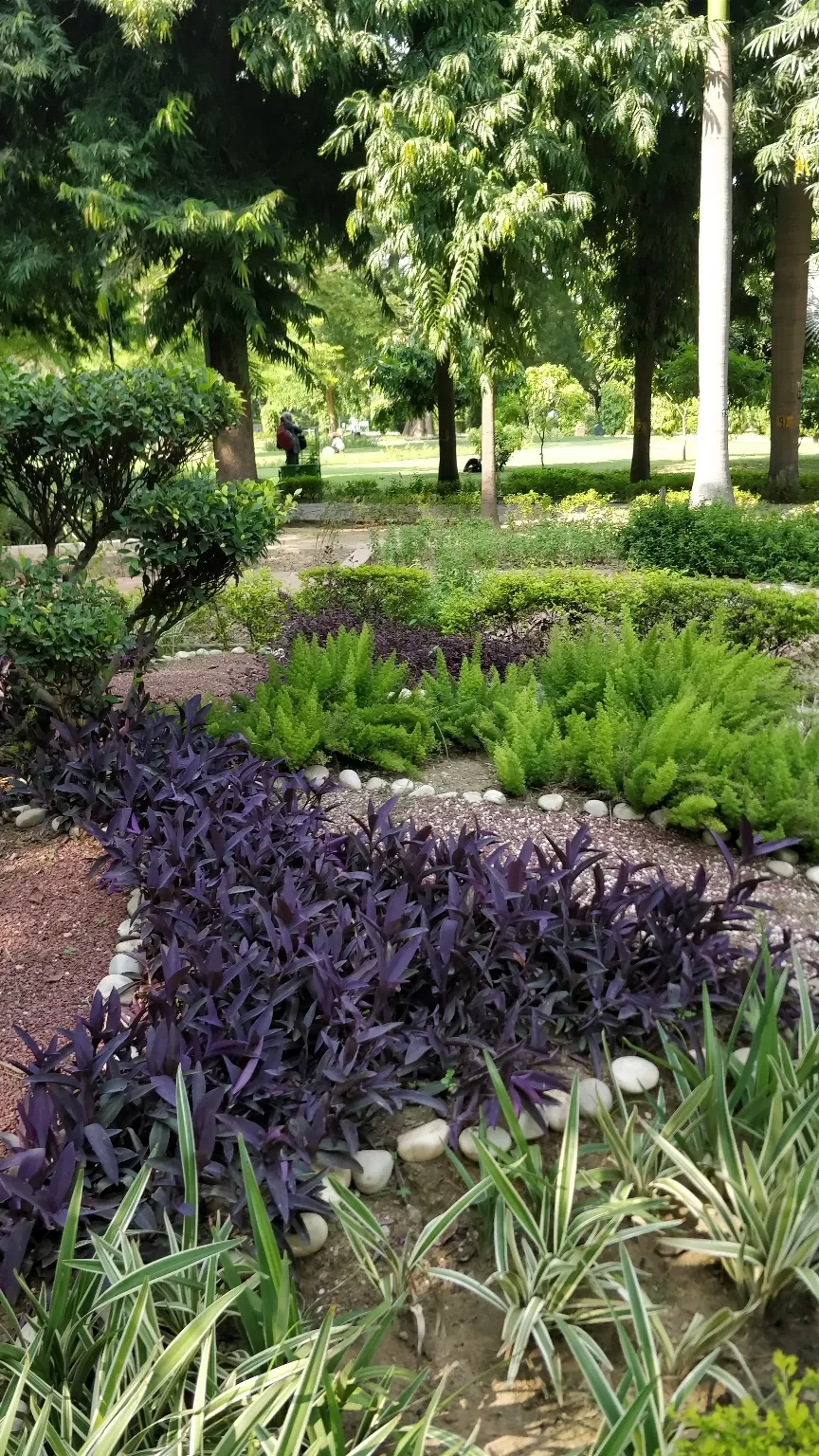 Photo of Talkatora Garden By Arjun singh