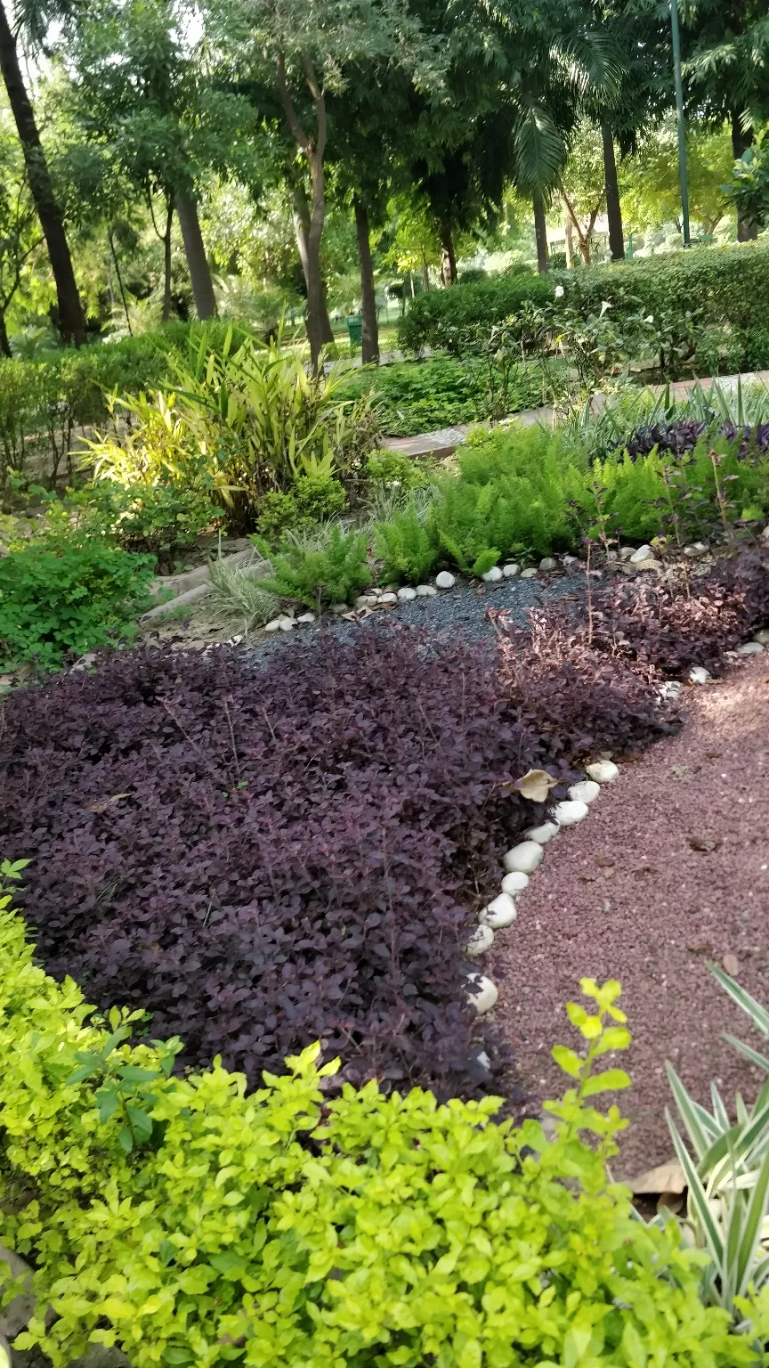 Photo of Talkatora Garden By Arjun singh