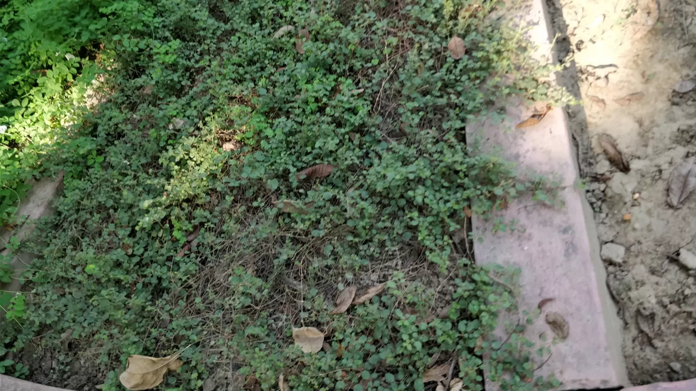 Photo of Talkatora Garden By Arjun singh