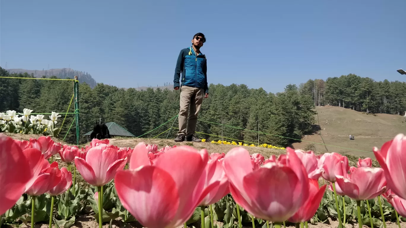 Photo of Sanasar By Arjun singh