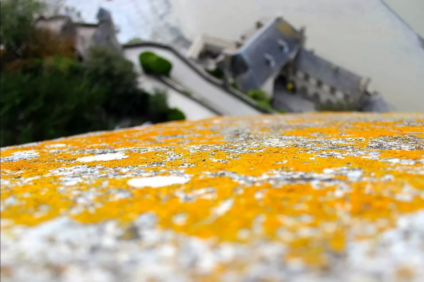 Photo of Europe By shaily gupta