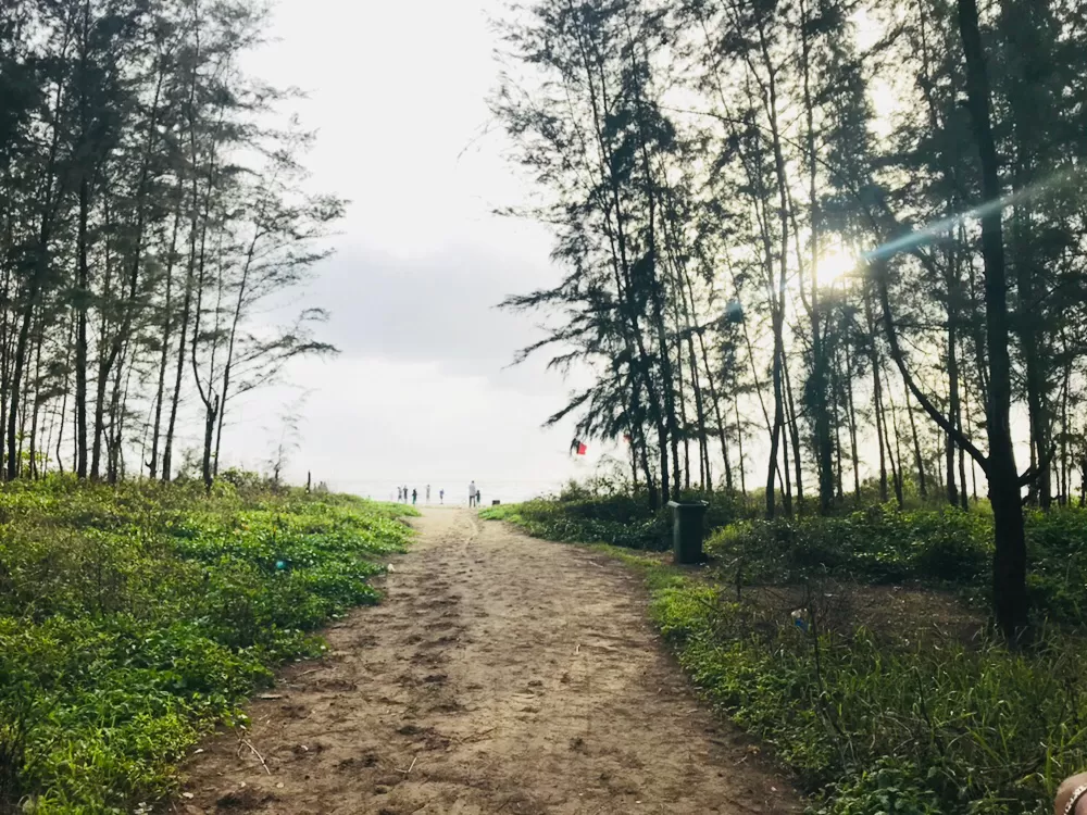 Photo of Marine Highway By Sneha Singh