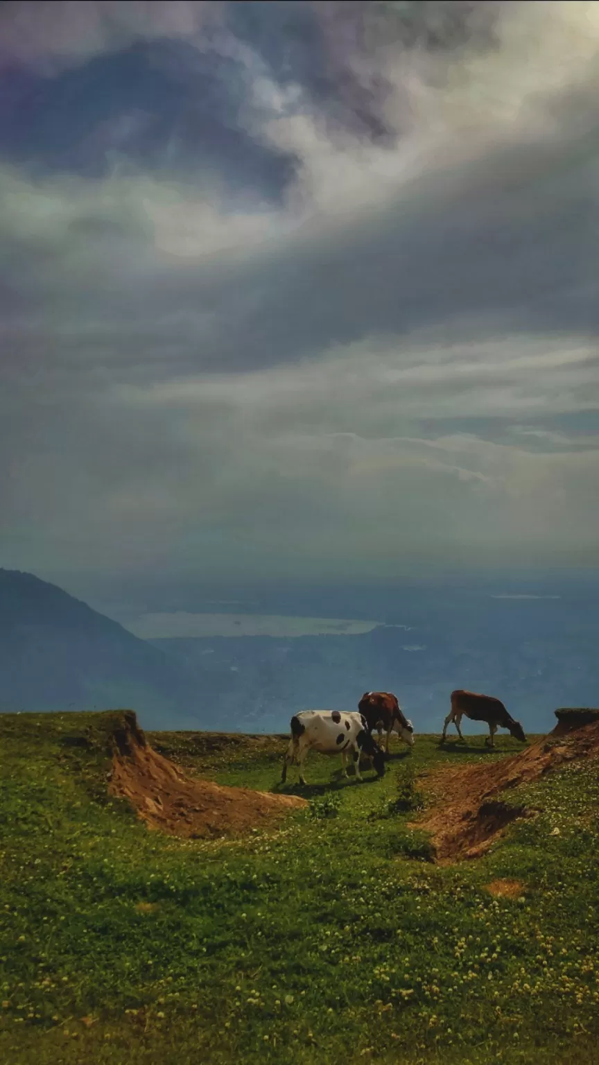 Photo of Jammu and Kashmir By Devirupa Majumder