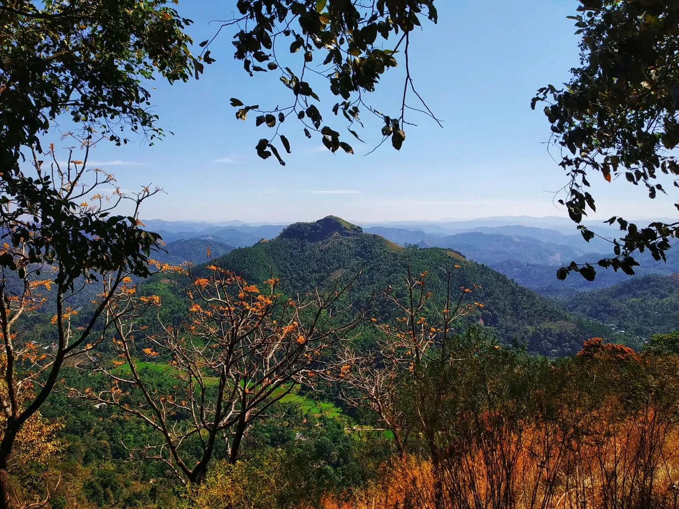 Photo of Willmount By Aiswarya Shaji Dev