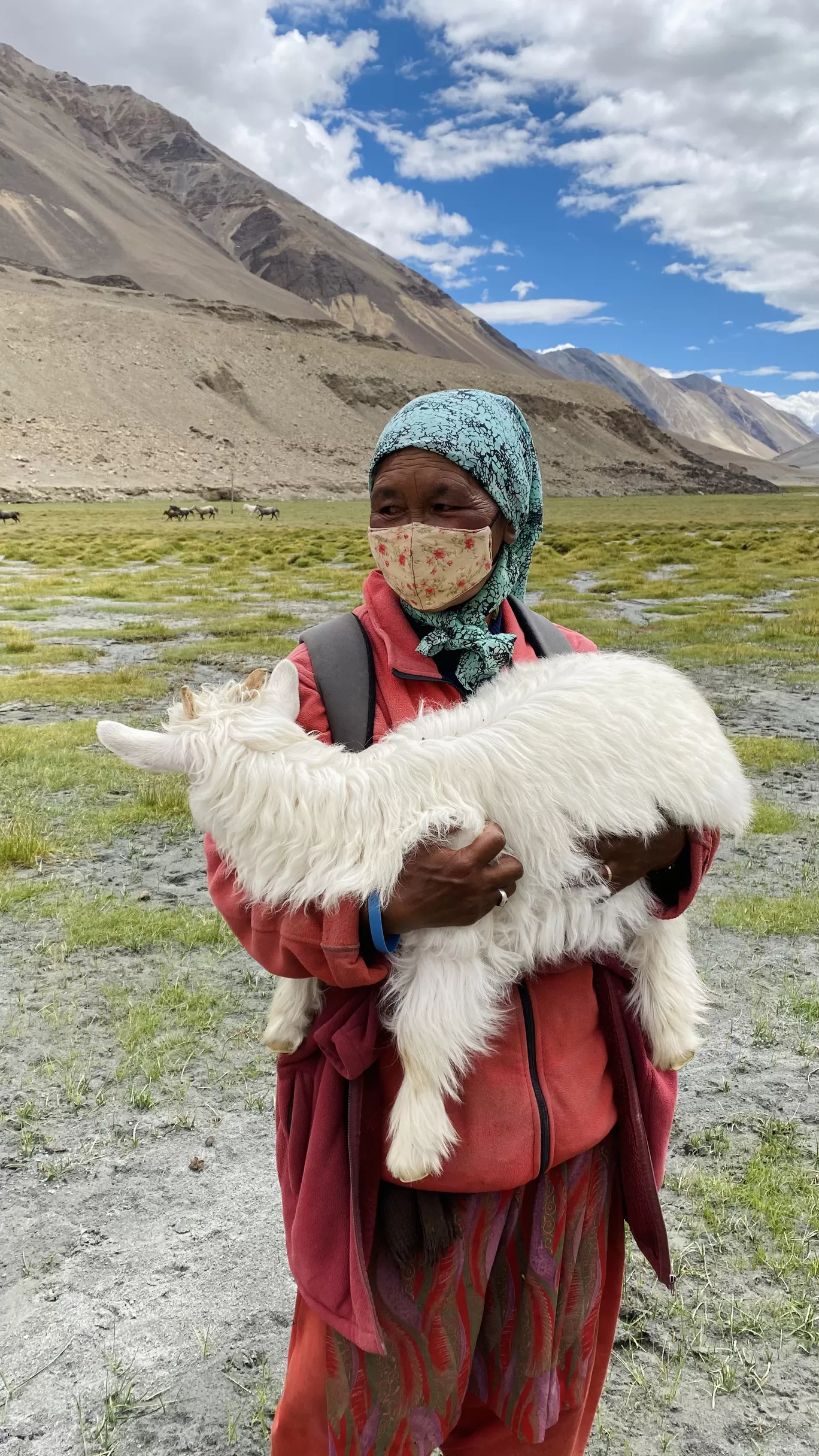 Photo of Ladakh By Aiswarya Shaji Dev