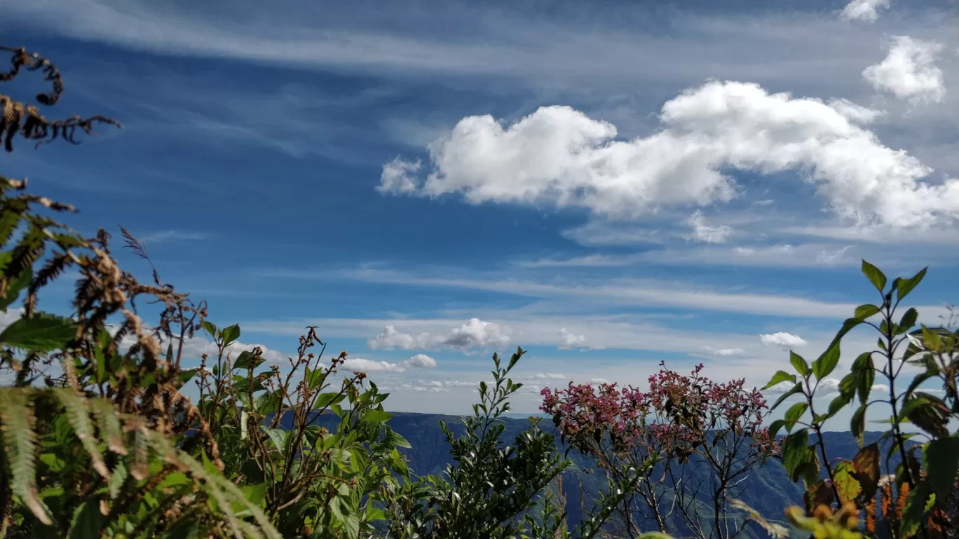 Photo of Shillong By Shriya Torne