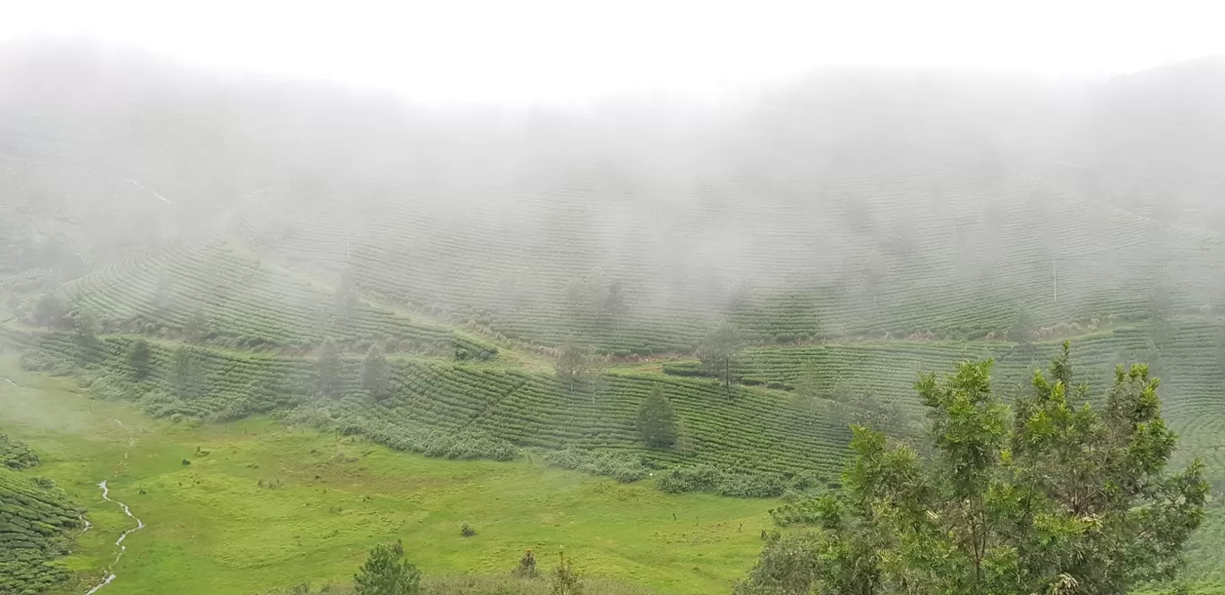 Photo of Munnar By Shyam Sundar