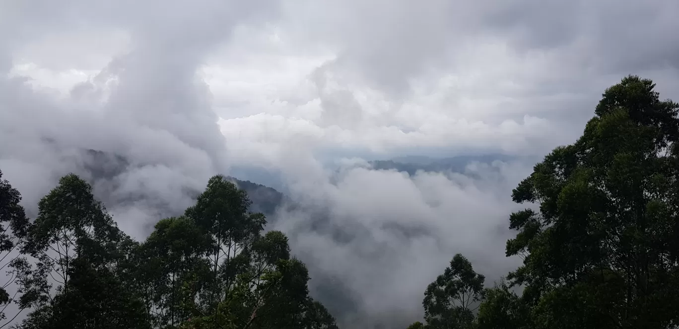 Photo of Munnar By Shyam Sundar