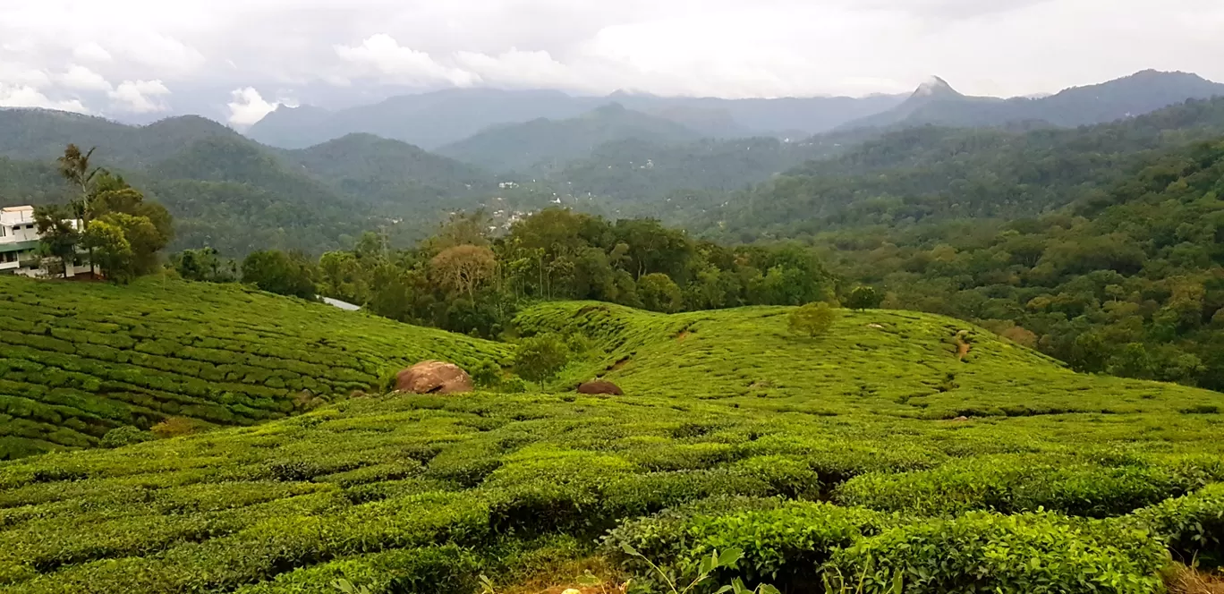 Photo of Munnar By Shyam Sundar