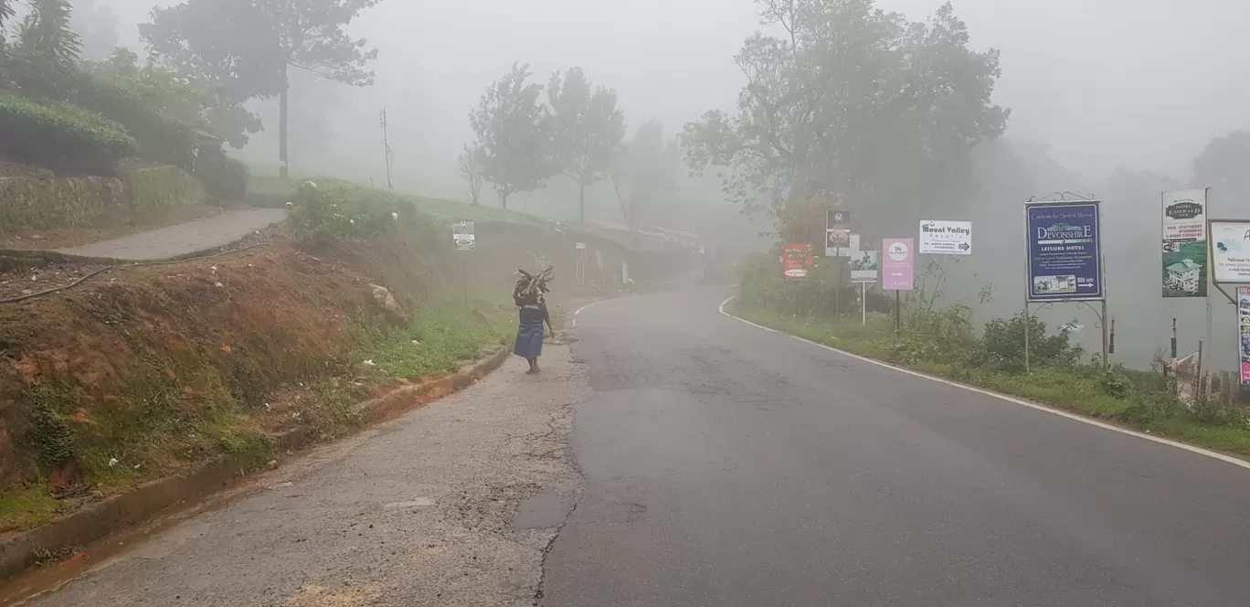 Photo of Munnar By Shyam Sundar