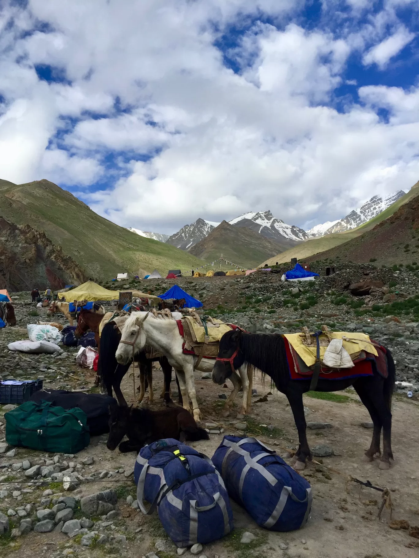 Photo of Ladakh By TheCrazyIndianNomad 