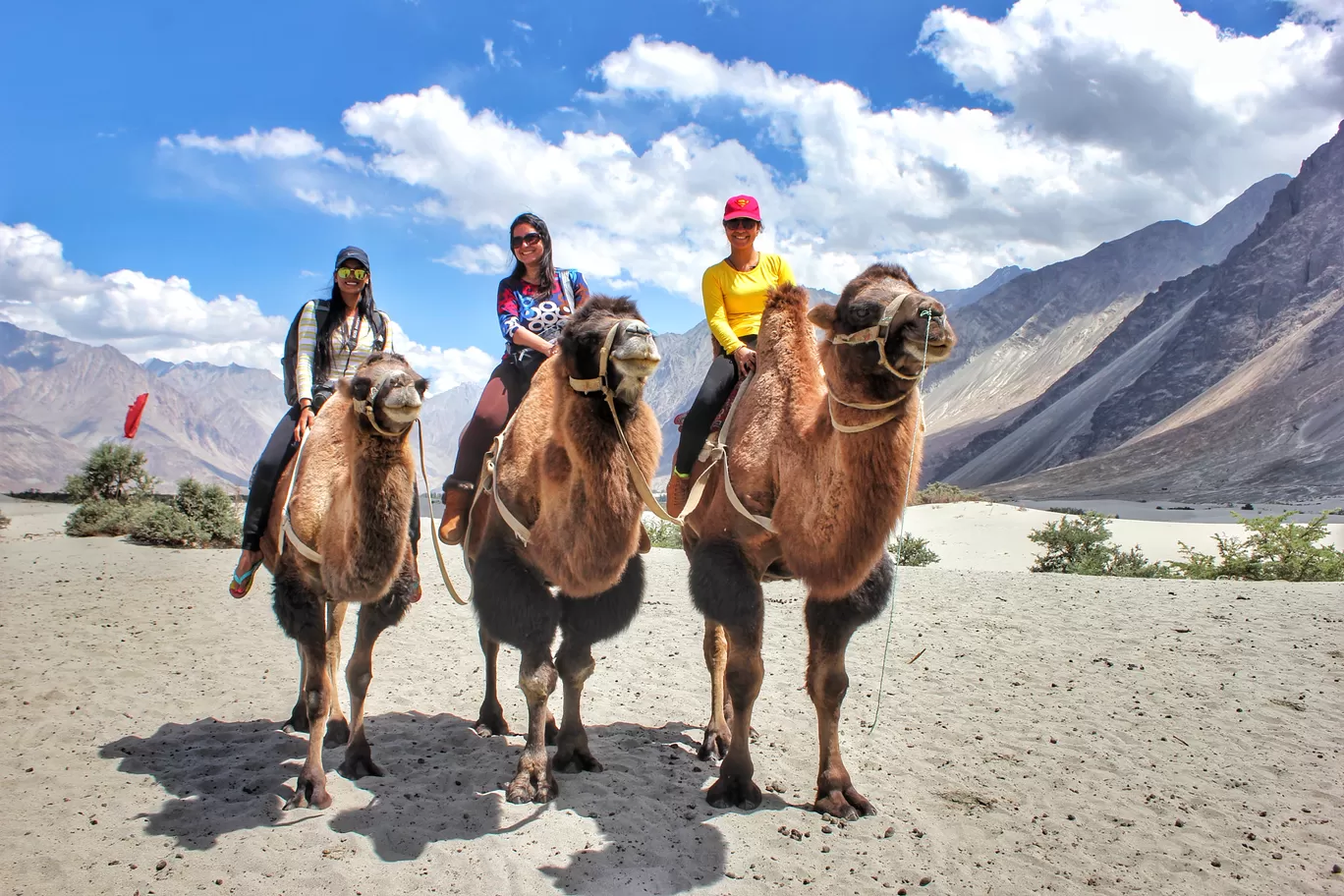 Photo of Ladakh By TheCrazyIndianNomad 