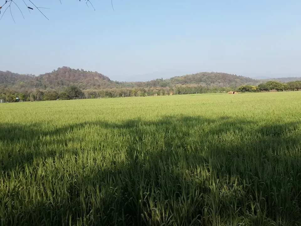Photo of Ramnagar, Uttarakhand, India By Rajiv Tewari