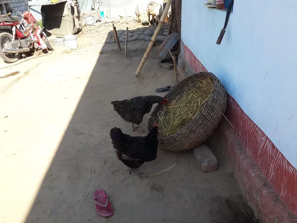 Photo of Ramnagar, Uttarakhand, India By Rajiv Tewari