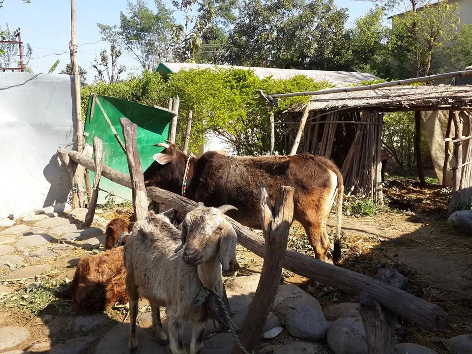 Photo of Ramnagar, Uttarakhand, India By Rajiv Tewari