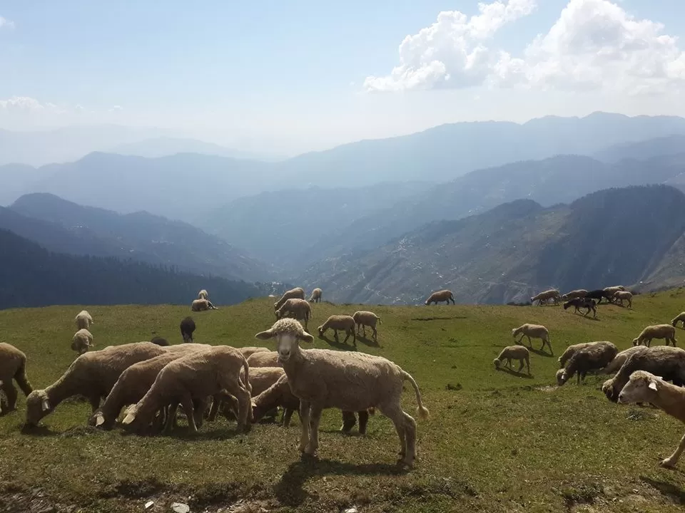 Photo of Jhalori Pass, Kullu, Himachal Pradesh By Rajiv Tewari