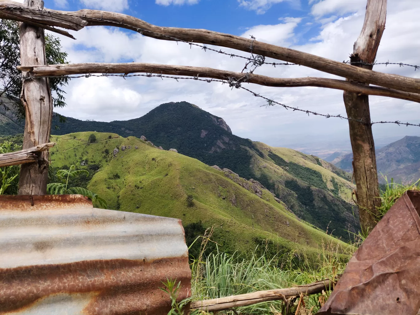 Photo of Munnar By Moody Hexagon