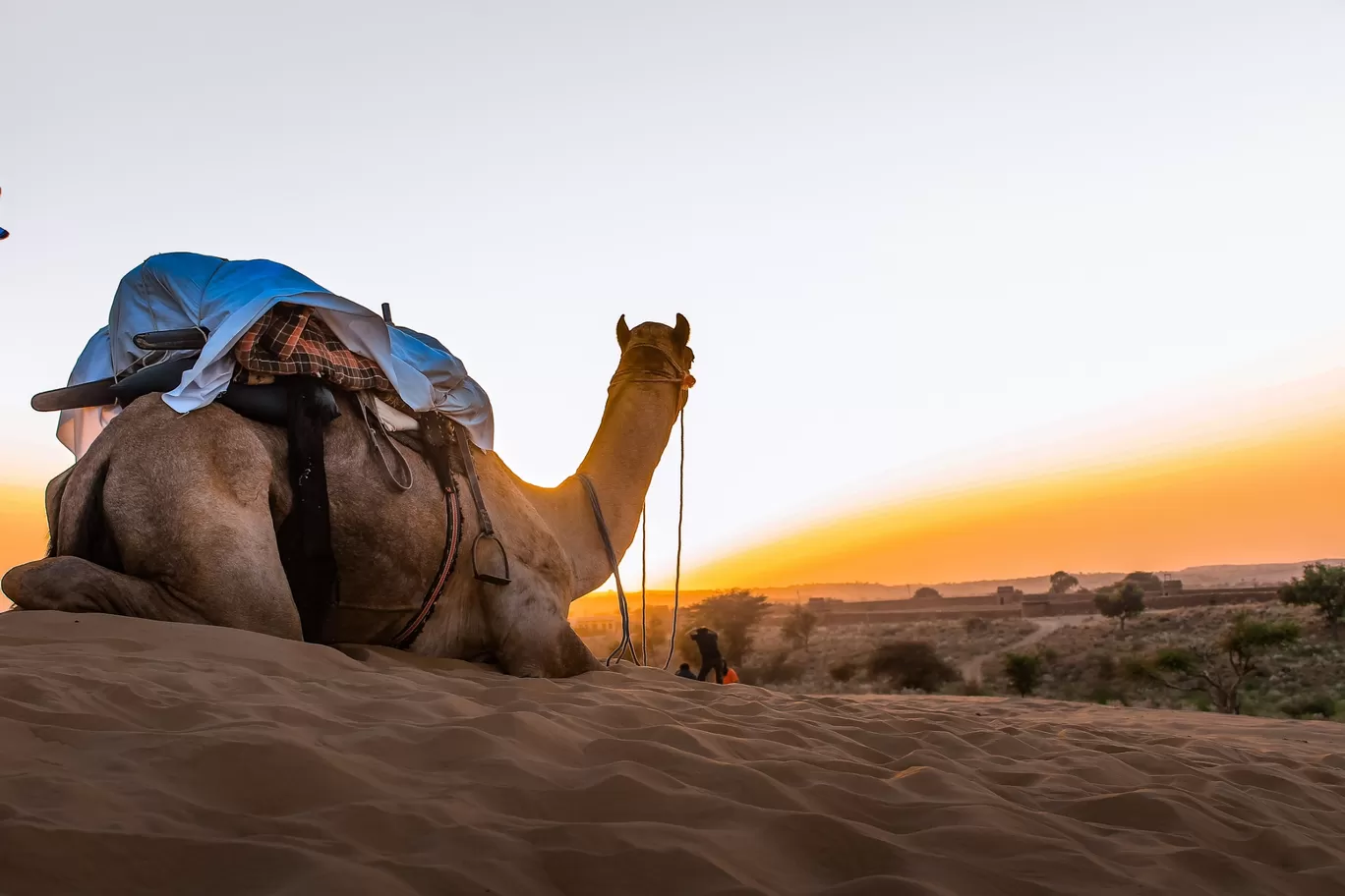 Photo of Thar Desert By Nikhlesh tyagi