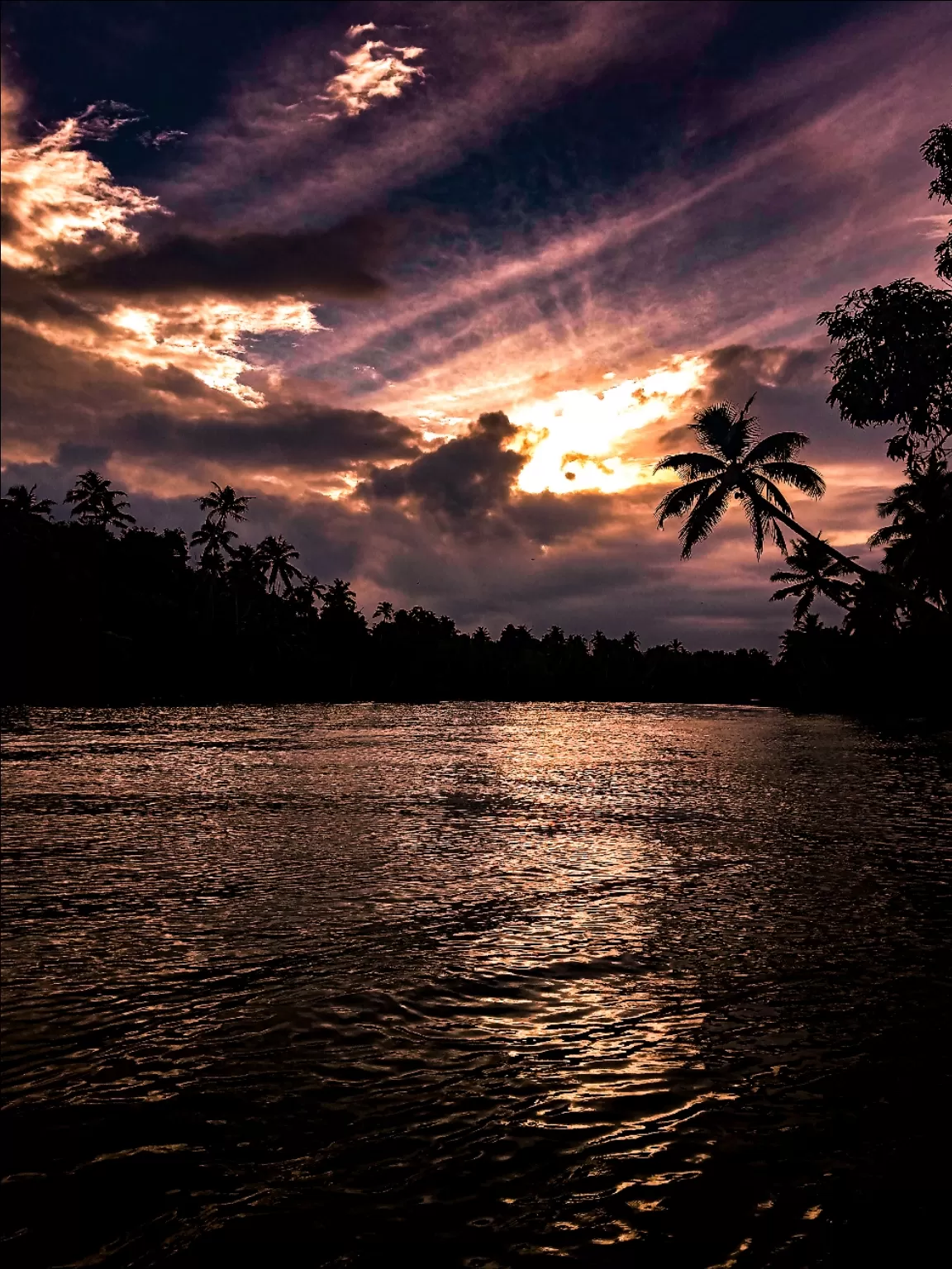 Photo of Kerala Backwaters By Nikhlesh tyagi