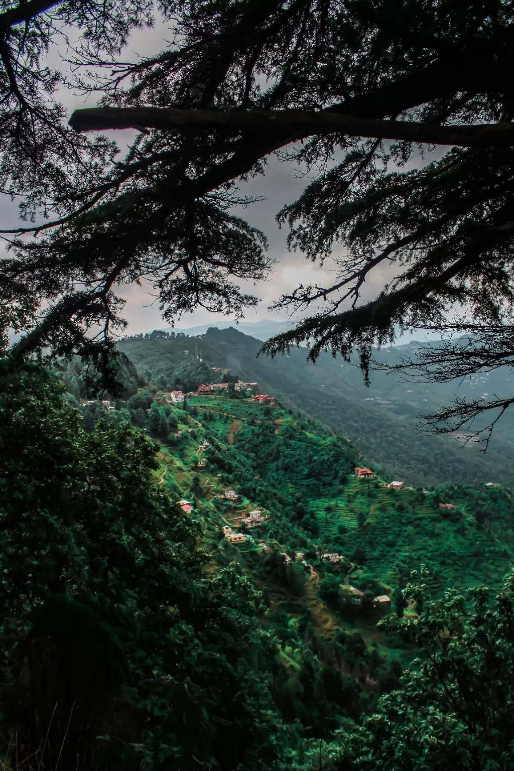 Photo of Mukteshwar By Nikhlesh tyagi