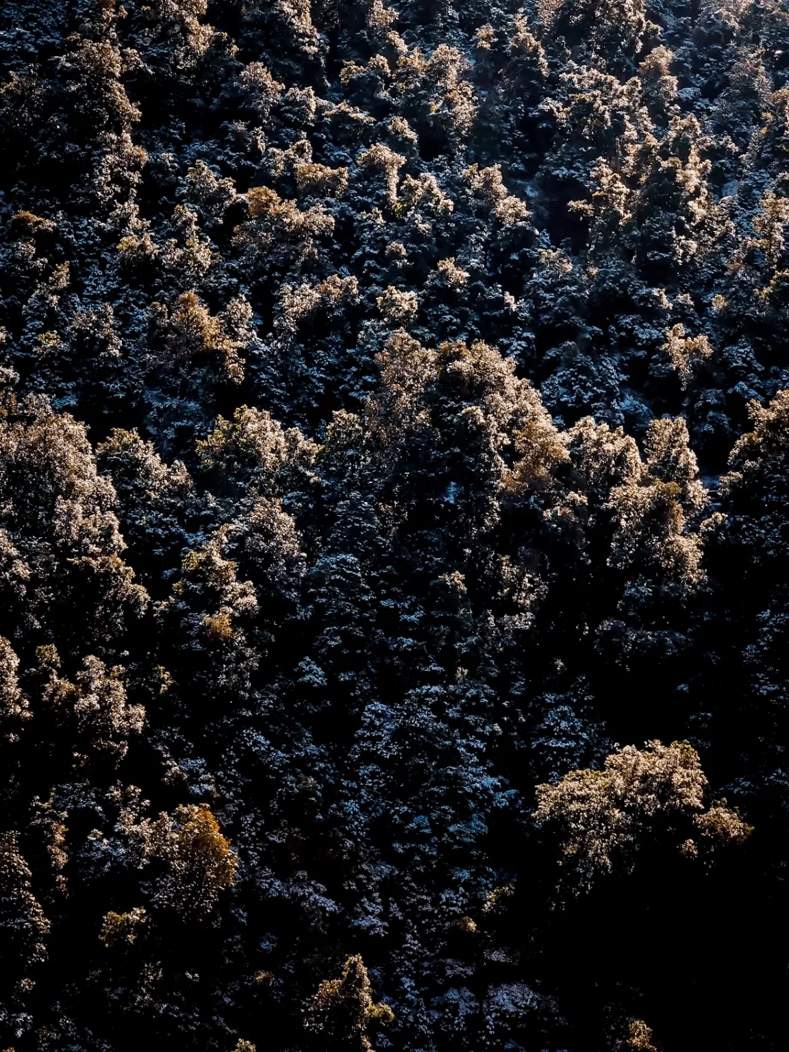 Photo of Nainital By Nikhlesh tyagi