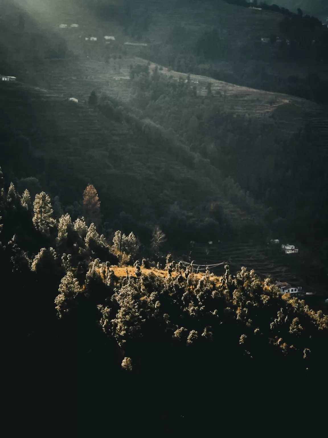 Photo of Nainital By Nikhlesh tyagi