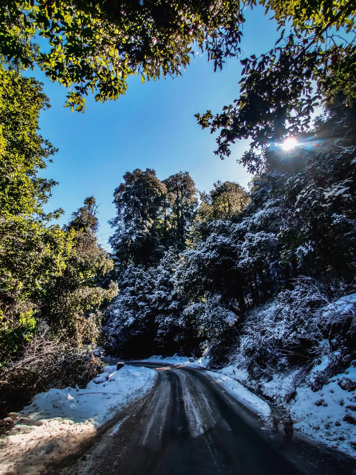 Photo of Nainital By Nikhlesh tyagi