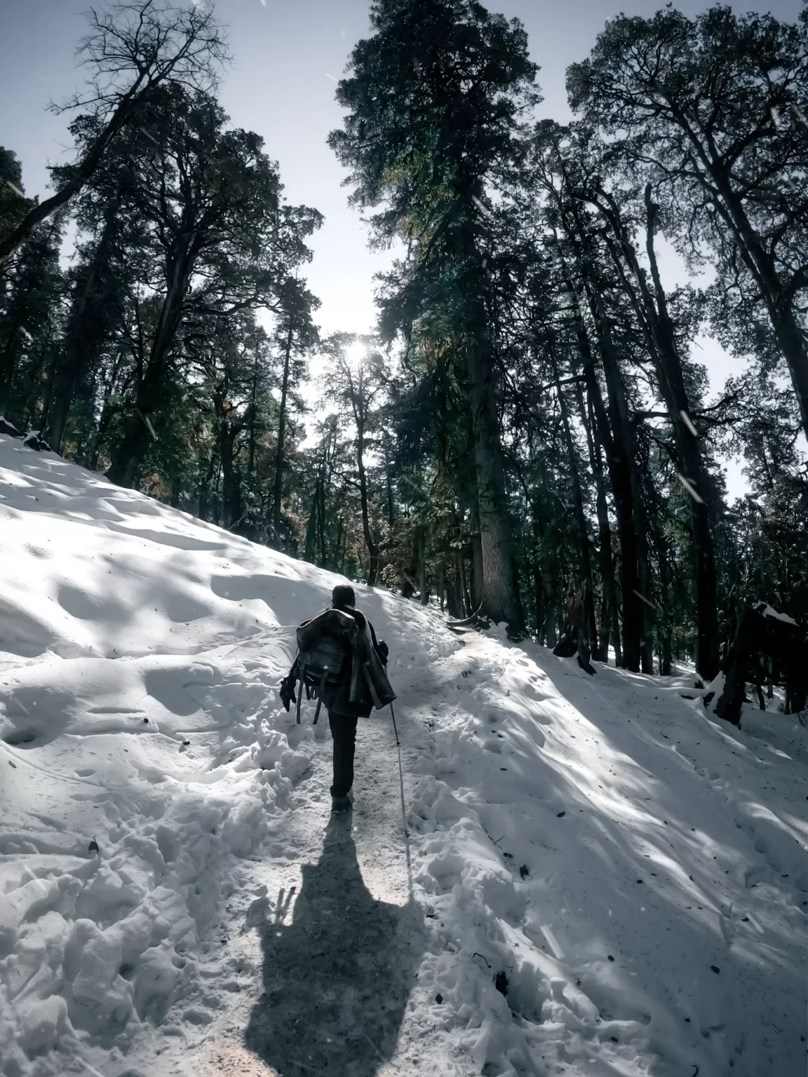 Photo of Kedarkantha Base Camp By Nikhlesh tyagi