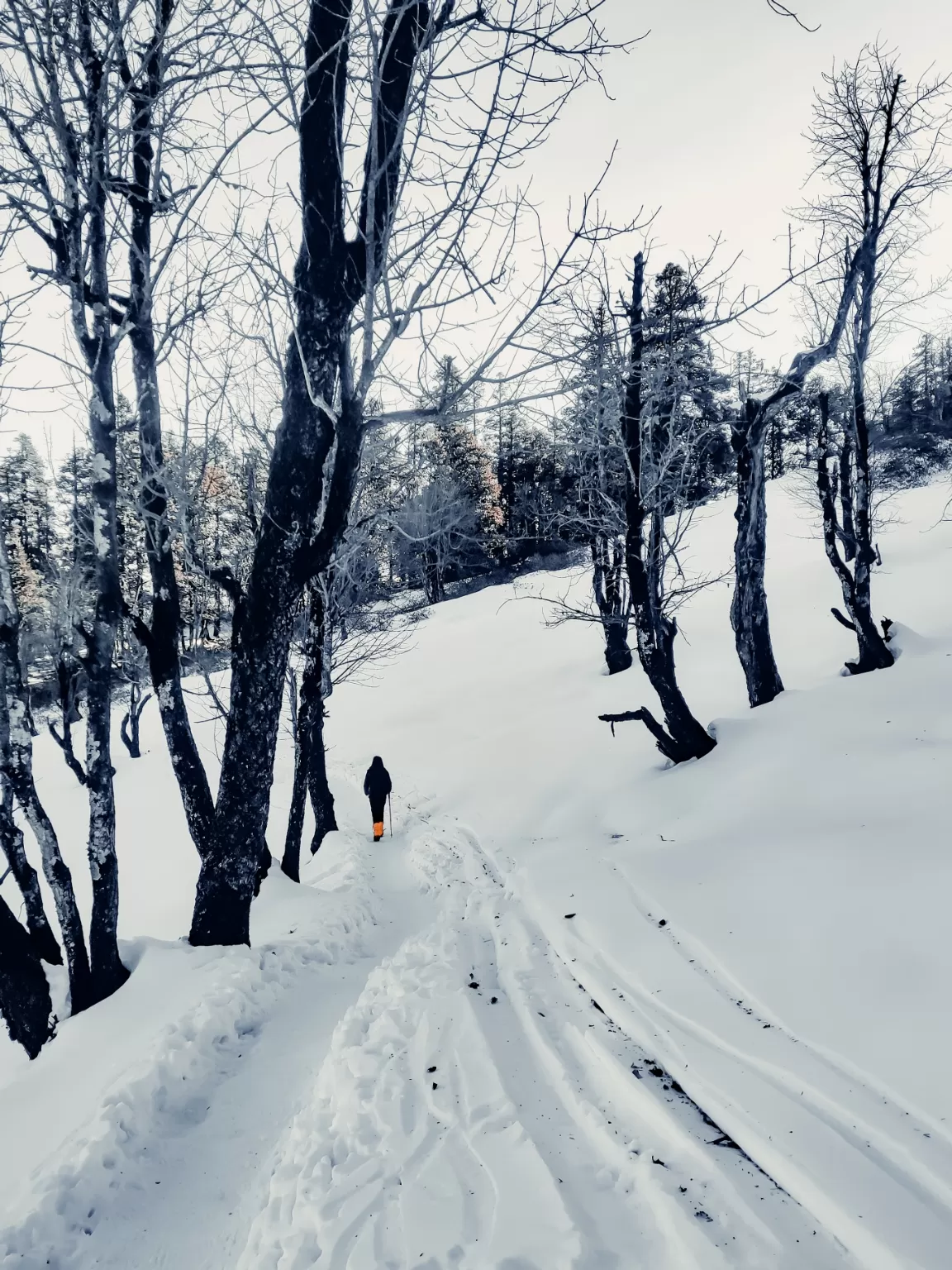 Photo of Kedarkantha Trek By Nikhlesh tyagi