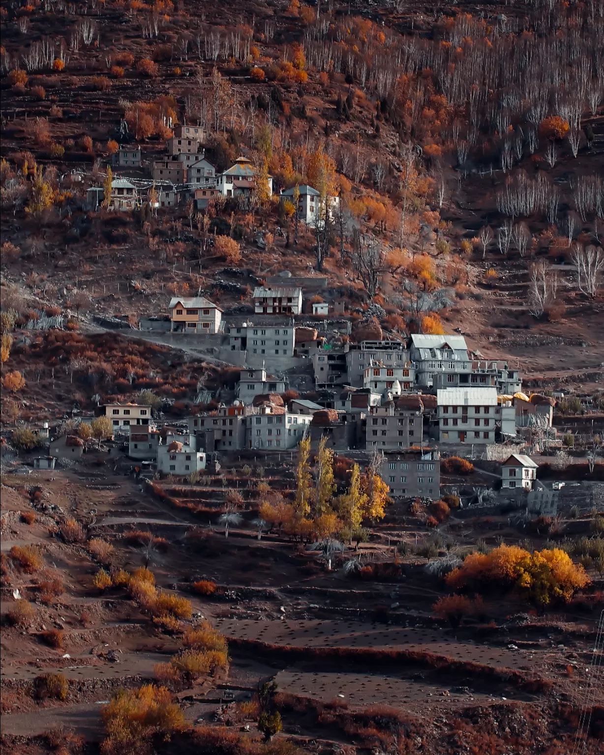 Photo of Lahaul And Spiti By Nikhlesh tyagi