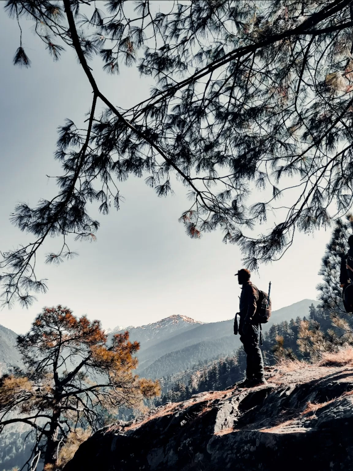 Photo of Kedarkantha Trek By Nikhlesh tyagi