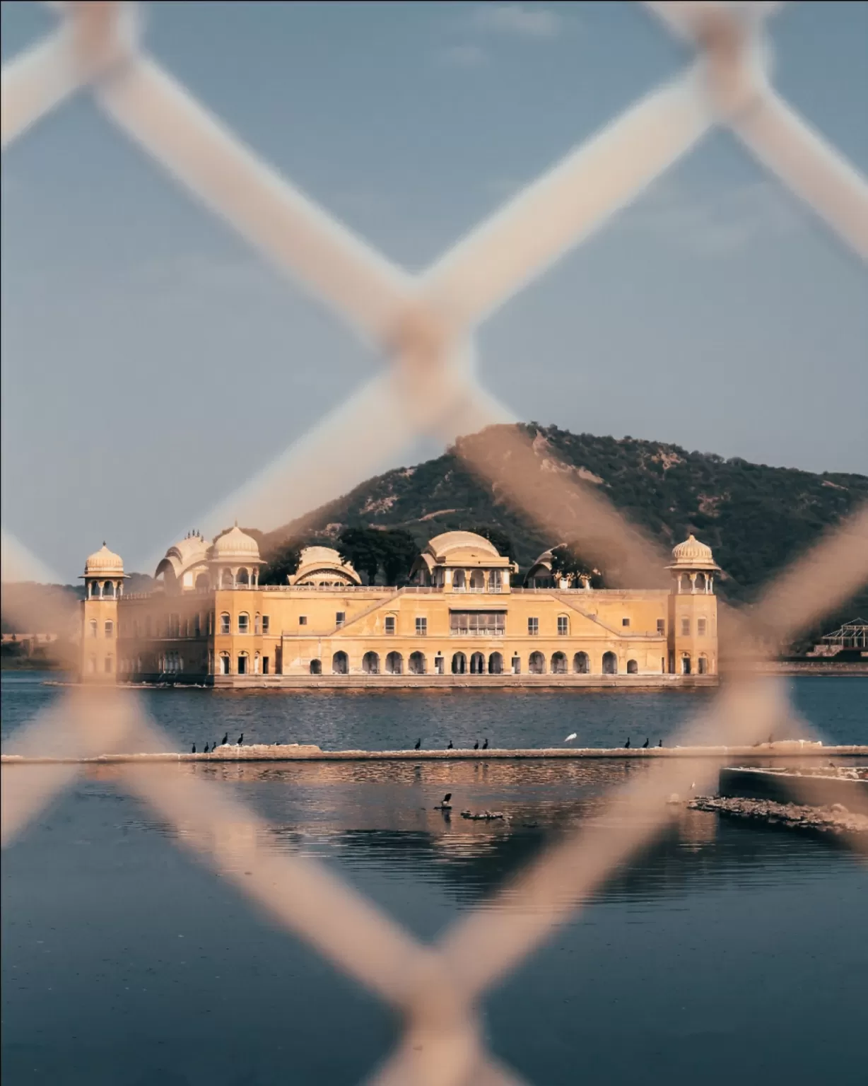 Photo of Jal Mahal By Nikhlesh tyagi